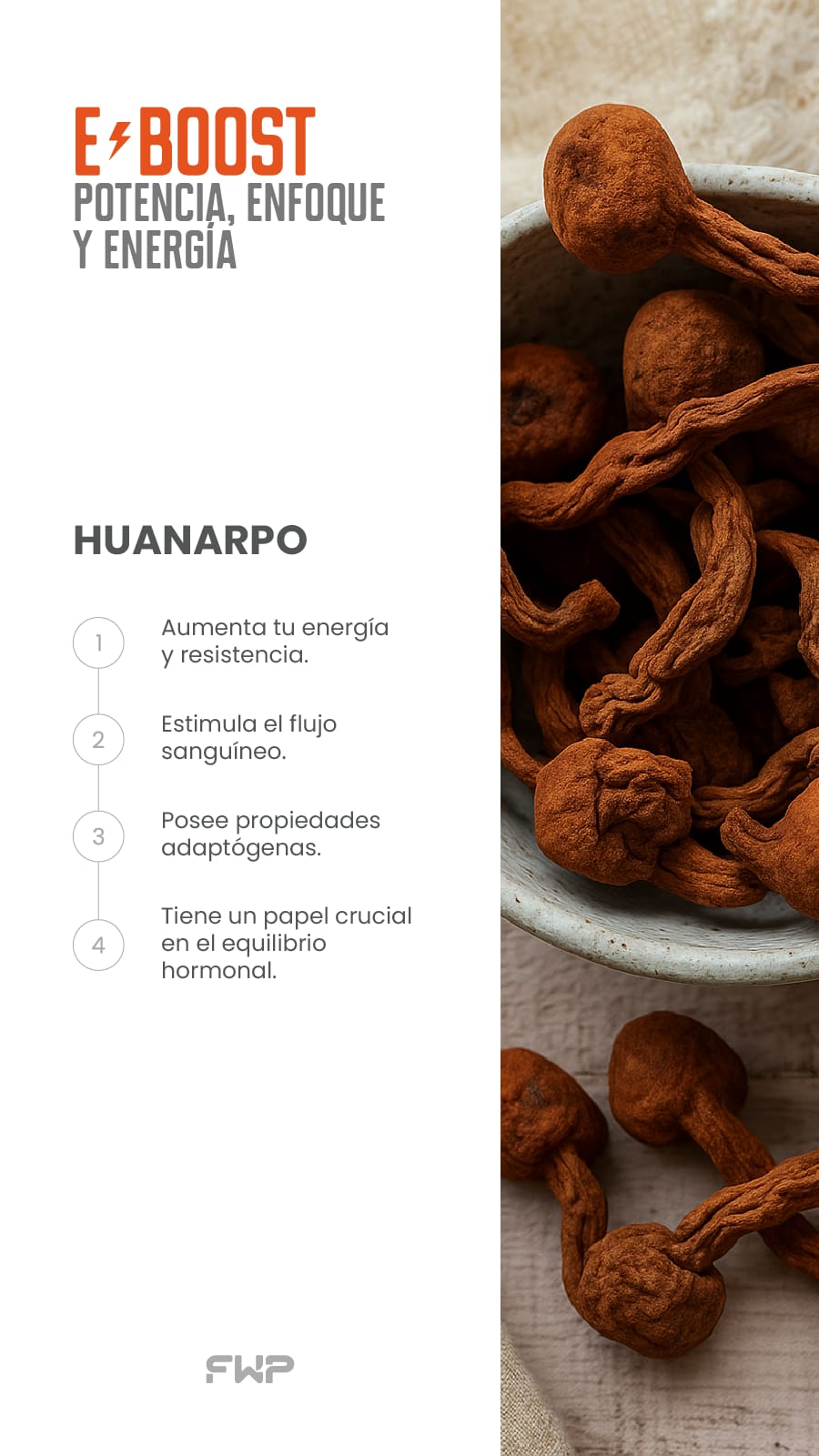 ⚡ E-BOOST – Energía Natural para Rendimiento Máximo