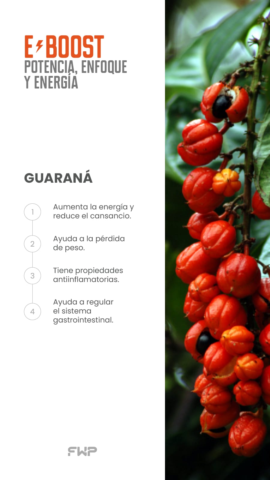 ⚡ E-BOOST – Energía Natural para Rendimiento Máximo